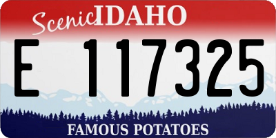 ID license plate E117325