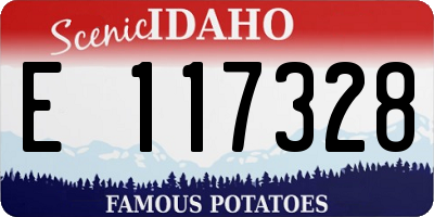 ID license plate E117328