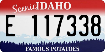 ID license plate E117338