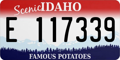 ID license plate E117339