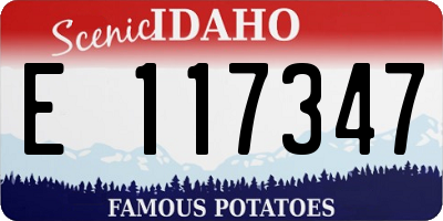 ID license plate E117347