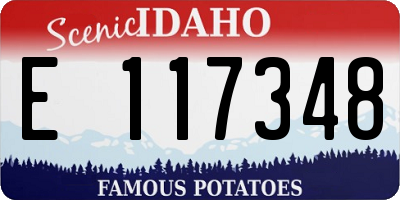 ID license plate E117348