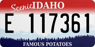 ID license plate E117361