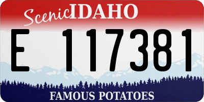 ID license plate E117381