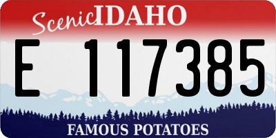 ID license plate E117385