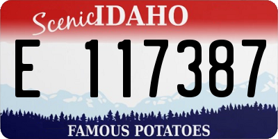 ID license plate E117387