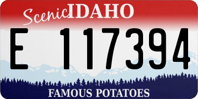 ID license plate E117394