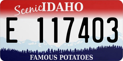 ID license plate E117403
