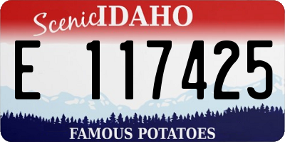 ID license plate E117425