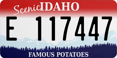 ID license plate E117447