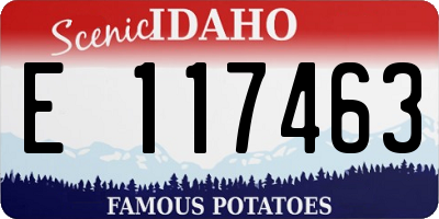ID license plate E117463