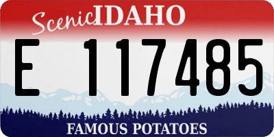ID license plate E117485