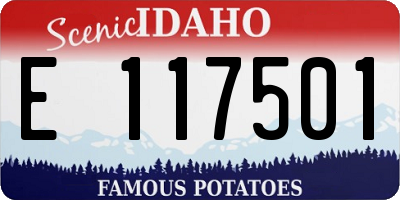 ID license plate E117501