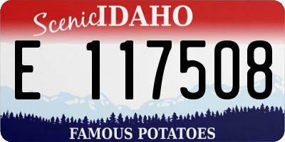 ID license plate E117508