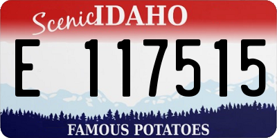 ID license plate E117515