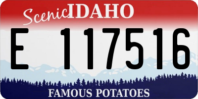ID license plate E117516