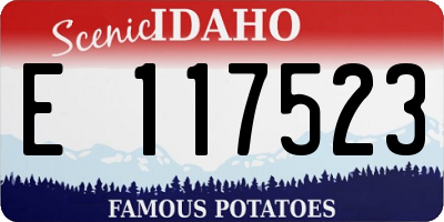 ID license plate E117523