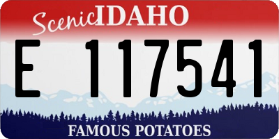 ID license plate E117541