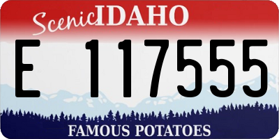 ID license plate E117555