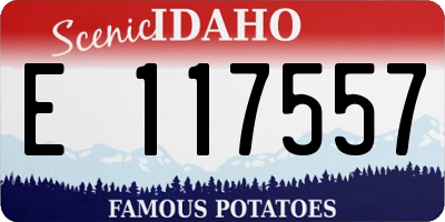 ID license plate E117557