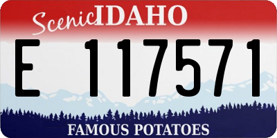 ID license plate E117571