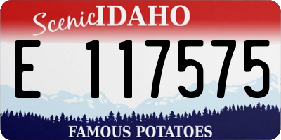 ID license plate E117575