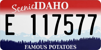 ID license plate E117577