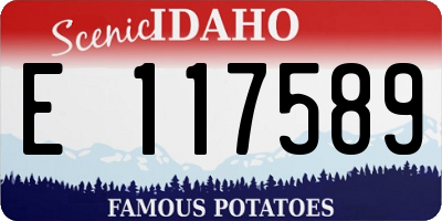 ID license plate E117589