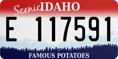ID license plate E117591