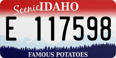 ID license plate E117598