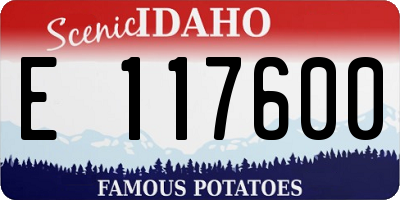 ID license plate E117600