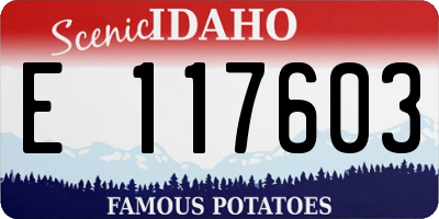 ID license plate E117603