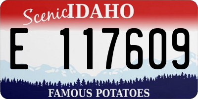 ID license plate E117609