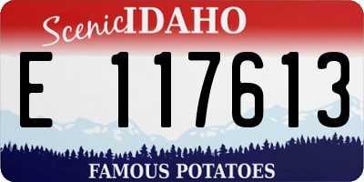 ID license plate E117613