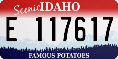 ID license plate E117617