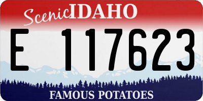 ID license plate E117623