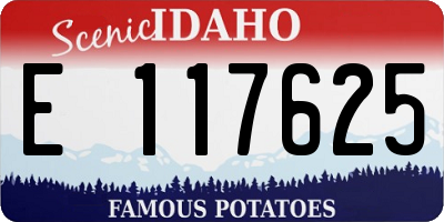 ID license plate E117625