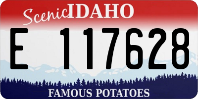 ID license plate E117628