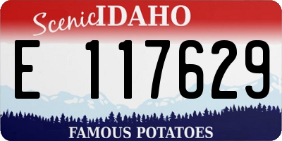 ID license plate E117629