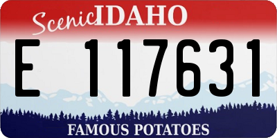 ID license plate E117631