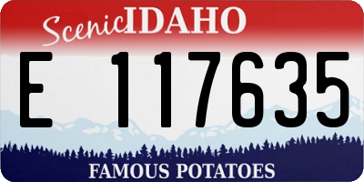 ID license plate E117635