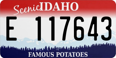 ID license plate E117643
