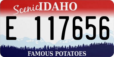 ID license plate E117656
