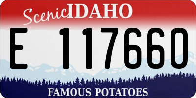 ID license plate E117660