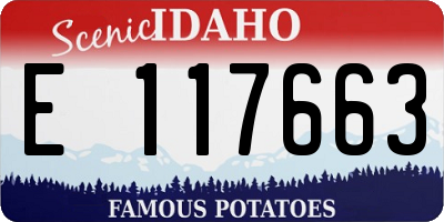 ID license plate E117663