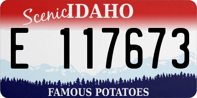 ID license plate E117673
