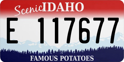 ID license plate E117677