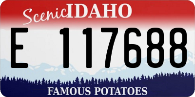 ID license plate E117688
