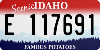 ID license plate E117691