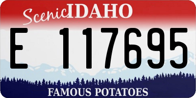ID license plate E117695